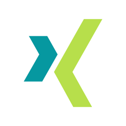 xing icon