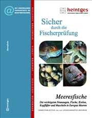 Meeresfische