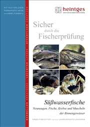 Swasswerfische