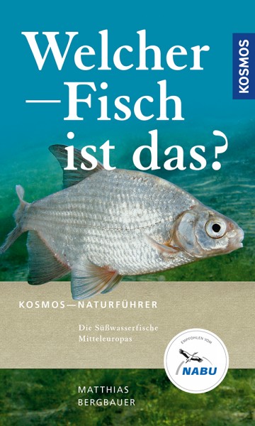 Welcher Fisch ist das