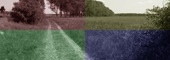 Der Weg