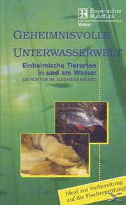 Unterwasserwelt