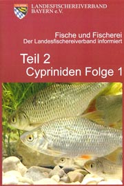 Cypriniden