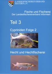 Cypriniden